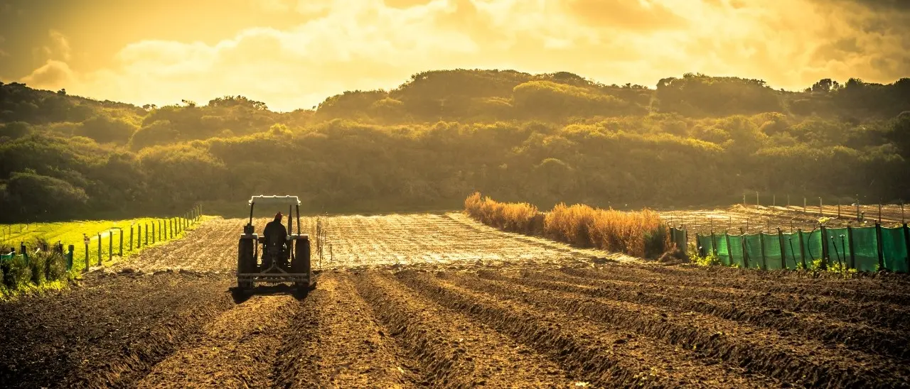 Eccezionale ondata di caldo, scatta il divieto di lavoro in agricoltura nelle ore più a rischio