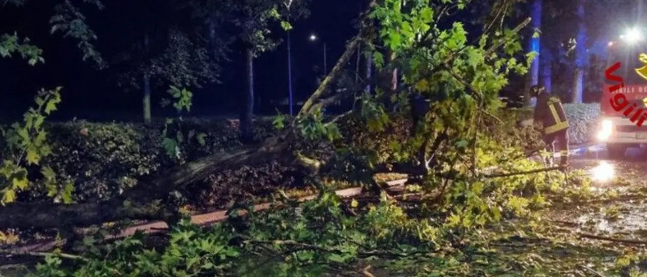 Maltempo in Friuli Venezia Giulia, oltre 500 le richieste di soccorso: un morto