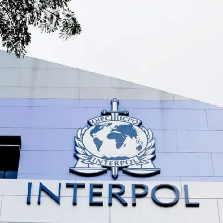 Paraguay, l’Interpol cattura due presunti ‘ndranghetisti: «Erano qui per acquistare cocaina destinata all’Europa»