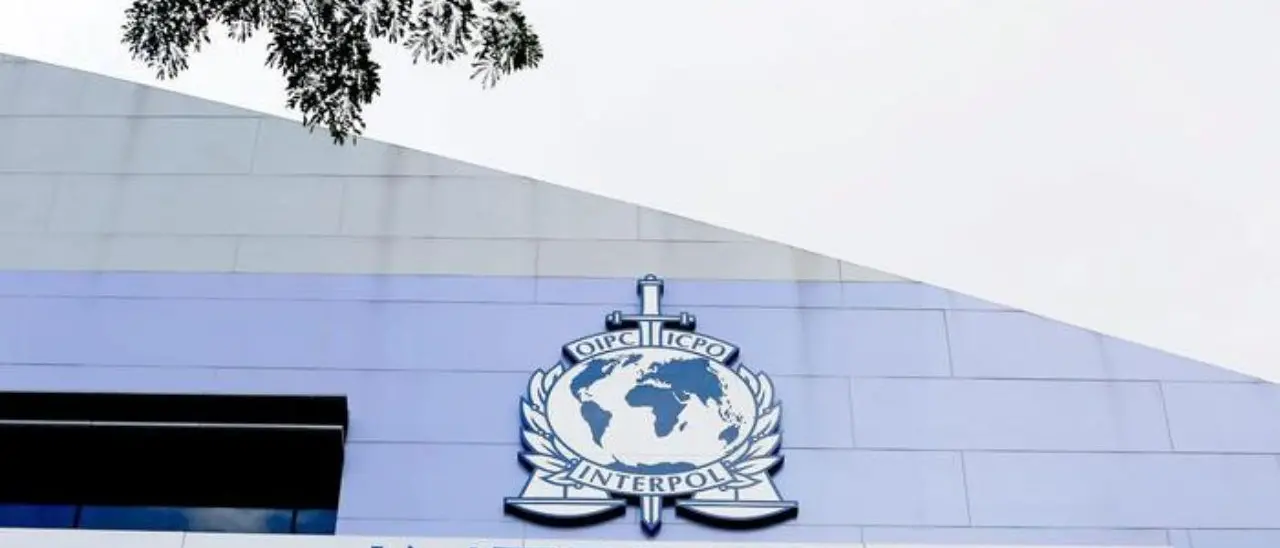 Paraguay, l’Interpol cattura due presunti ‘ndranghetisti: «Erano qui per acquistare cocaina destinata all’Europa»