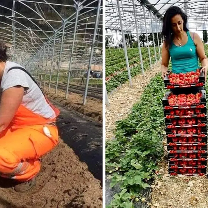 Lidia, mamma di tre figli e contadina per passione: «Amo la terra, andare nel mio orto è come andare in una Spa»