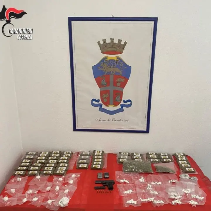 In casa una pistola, mezzo chilo di coca, 57 panetti di hascisc e 2 etti di marijuana: arrestato 25enne di Montalto