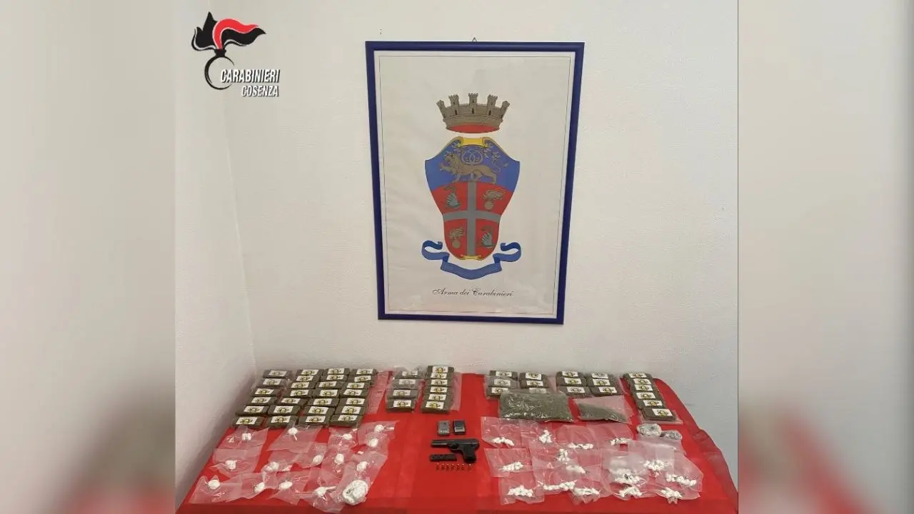 In casa una pistola, mezzo chilo di coca, 57 panetti di hascisc e 2 etti di marijuana: arrestato 25enne di Montalto