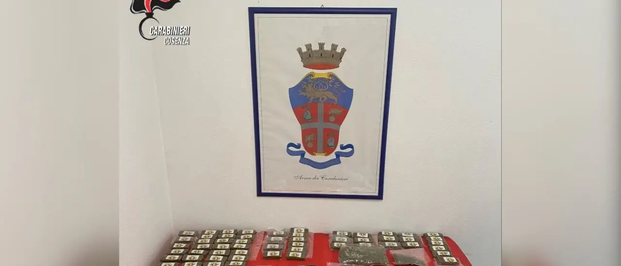 In casa una pistola, mezzo chilo di coca, 57 panetti di hascisc e 2 etti di marijuana: arrestato 25enne di Montalto