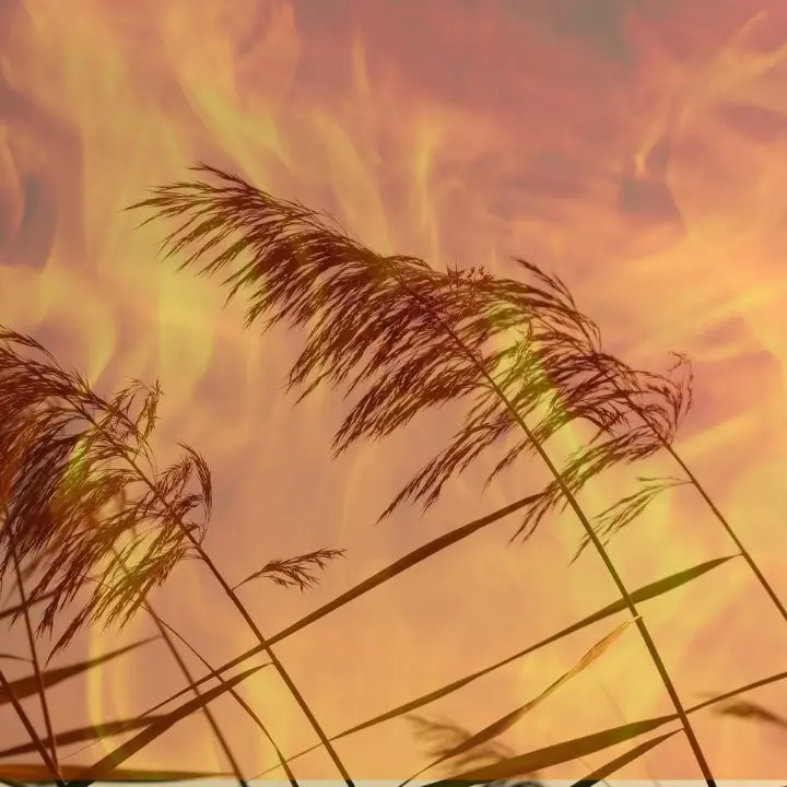 Favonio soffoca la Calabria: ecco il vento caldo e secco che infuoca lo Jonio e porta il termometro a 45 gradi