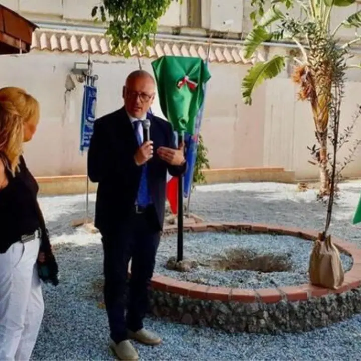 Reggio Calabria, albero piantato in carcere in ricordo di Paolo Borsellino