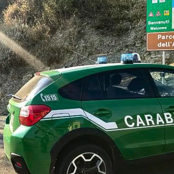 Bracconaggio, due cacciatori di ghiri denunciati nel Parco Nazionale dell’Aspromonte