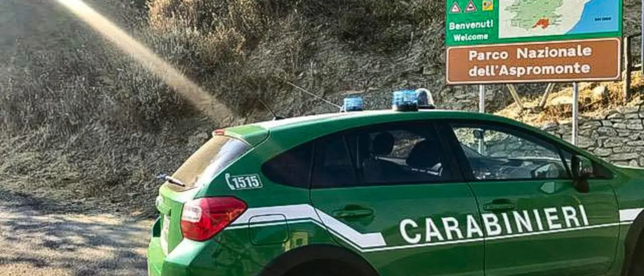 Bracconaggio, due cacciatori di ghiri denunciati nel Parco Nazionale dell’Aspromonte