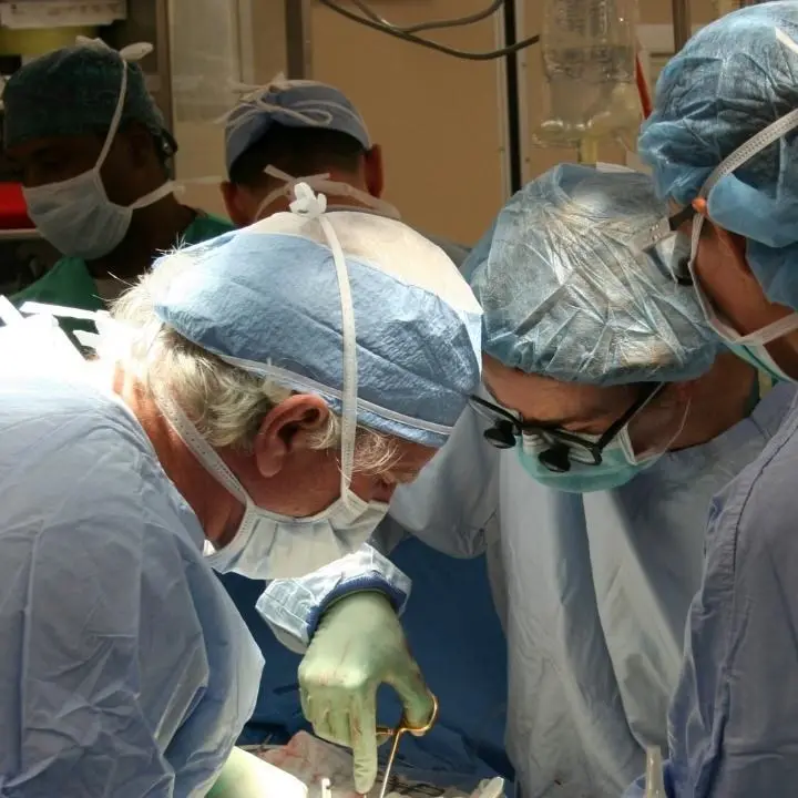 La vita dopo la morte: donati gli organi di Rosa Laura, la 34enne morta in un incidente a Reggio