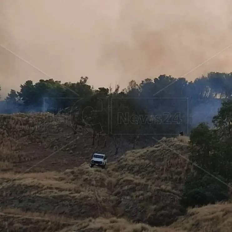 Reggino devastato dagli incedi, decine di ettari di bosco divorati dalle fiamme. Incontro in Prefettura per coordinare gli interventi