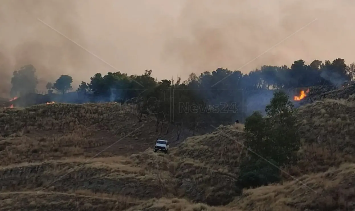 Reggino devastato dagli incedi, decine di ettari di bosco divorati dalle fiamme. Incontro in Prefettura per coordinare gli interventi