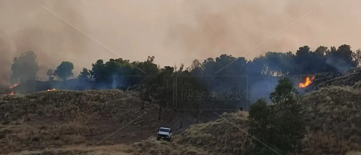 Reggino devastato dagli incedi, decine di ettari di bosco divorati dalle fiamme. Incontro in Prefettura per coordinare gli interventi