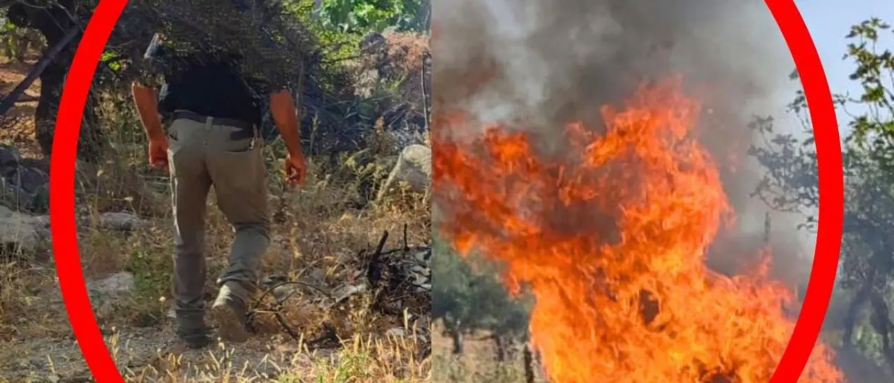 Bruciava plastica vicino a ulivi secolari, Occhiuto: «Sciagurati e vili comportamenti»