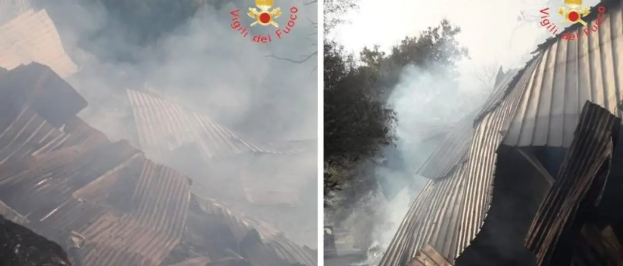 Incendi, a Motta San Giovanni va in fiamme un capannone utilizzato come stalla: morti alcuni animali