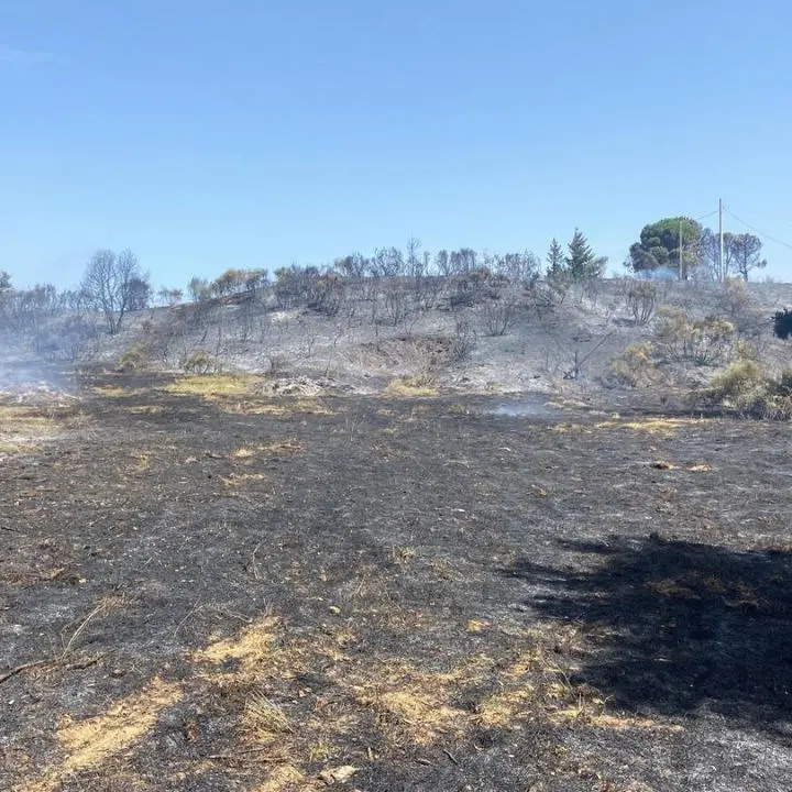 Incendio sulle colline di Corigliano divora migliaia di ettari di vegetazione