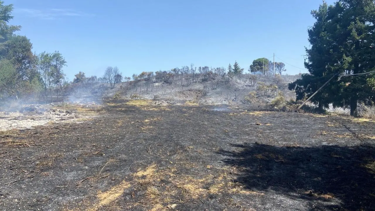 Incendio sulle colline di Corigliano divora migliaia di ettari di vegetazione