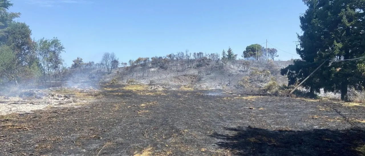 Incendio sulle colline di Corigliano divora migliaia di ettari di vegetazione