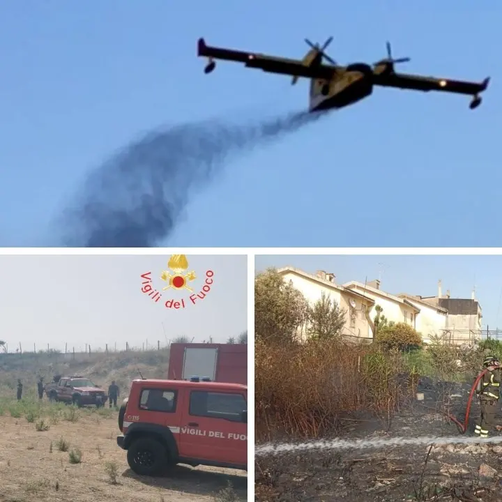 Incendi boschivi, in azione anche canadair ed elicotteri: 15 interventi sul territorio nazionale di cui 8 in Calabria
