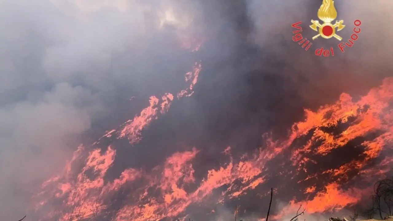 La Calabria brucia, da Cosenza a Reggio sono decine di incendi in tutta la regione