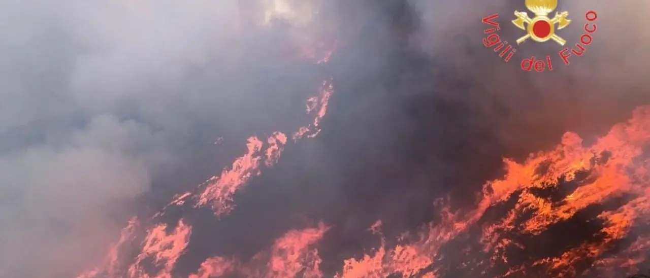La Calabria brucia, da Cosenza a Reggio sono decine di incendi in tutta la regione