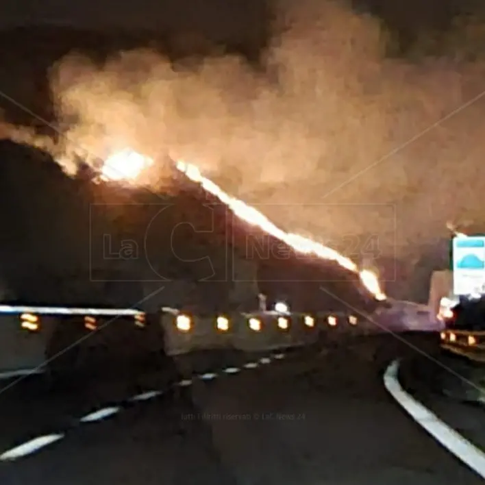 Incendi, il Pd contro Occhiuto: «La regione brucia assieme ai suoi slogan mentre si svilisce Calabria Verde»