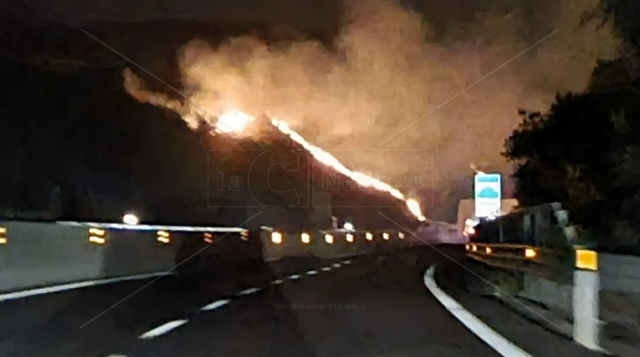 Incendi, il Pd contro Occhiuto: «La regione brucia assieme ai suoi slogan mentre si svilisce Calabria Verde»