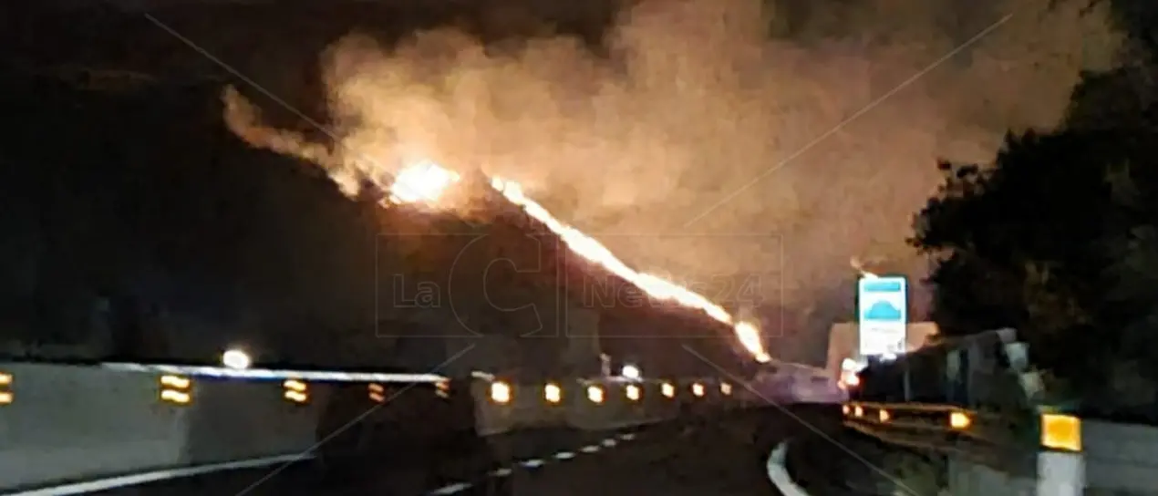 Incendi, il Pd contro Occhiuto: «La regione brucia assieme ai suoi slogan mentre si svilisce Calabria Verde»