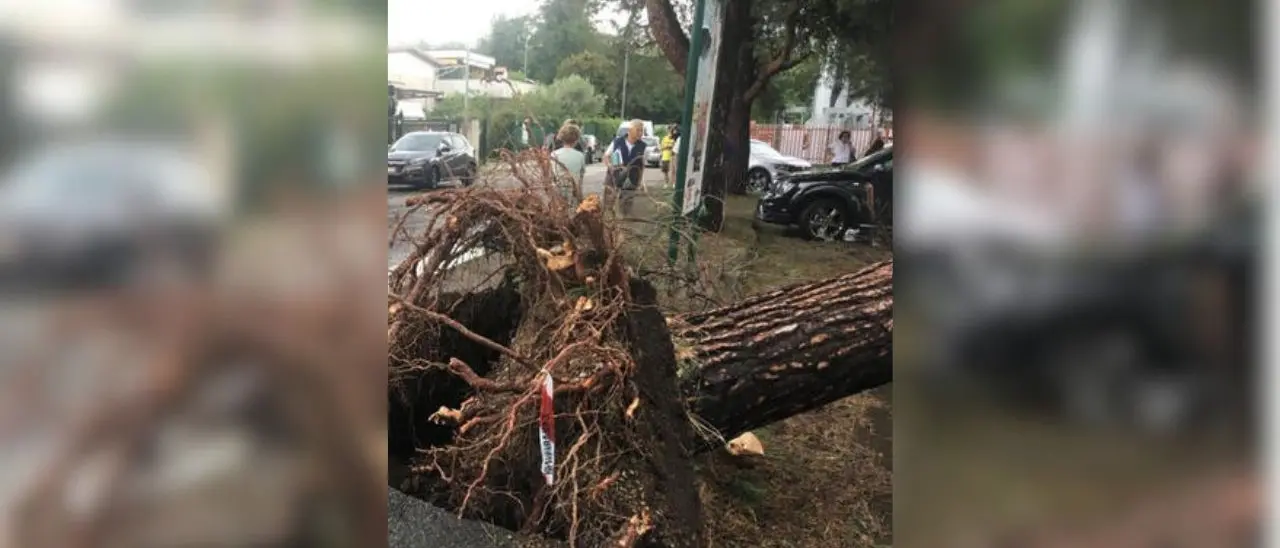 Tempesta di pioggia, grandine e vento su Milano e Brianza: donna muore schiacciata un albero