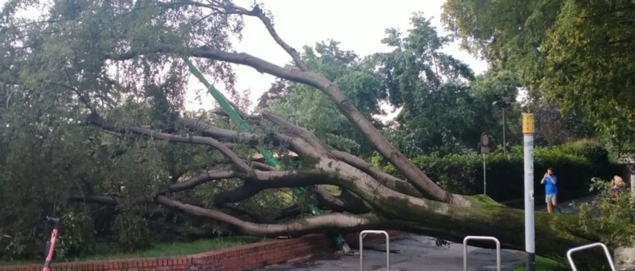 Tragedia in un campo scout a Brescia, 16enne uccisa da un albero abbattuto dal maltempo