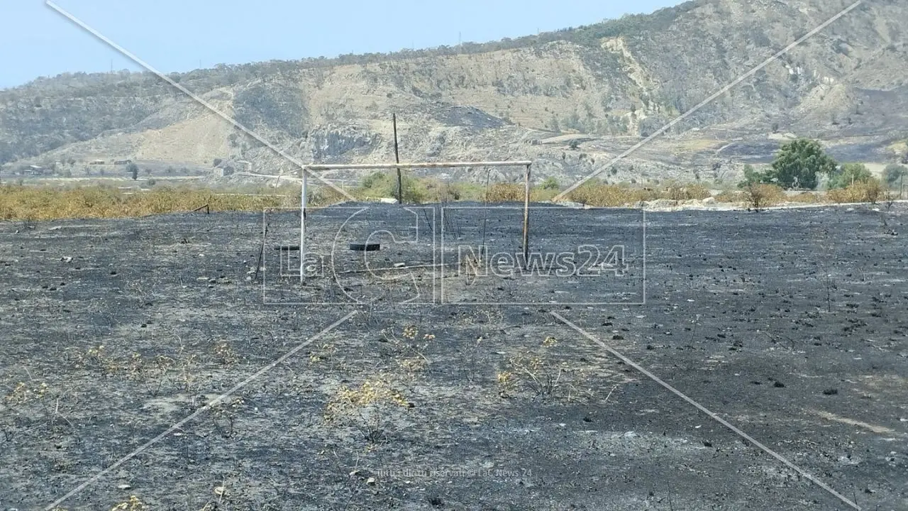 Le colline nere e l’odore di terra bruciata: cronache dall’inferno di fuoco che ha ferito ancora l’Aspromonte