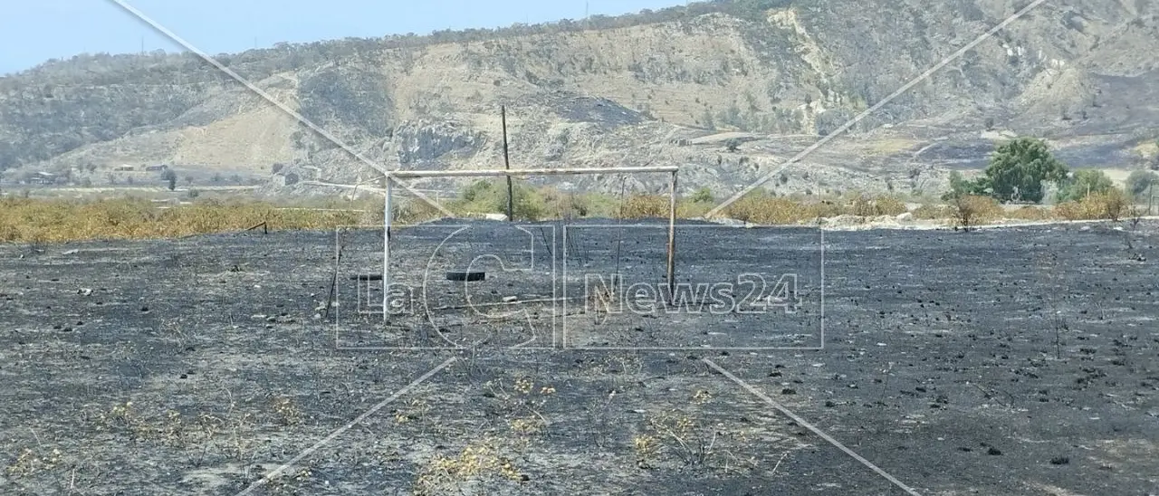 Le colline nere e l’odore di terra bruciata: cronache dall’inferno di fuoco che ha ferito ancora l’Aspromonte