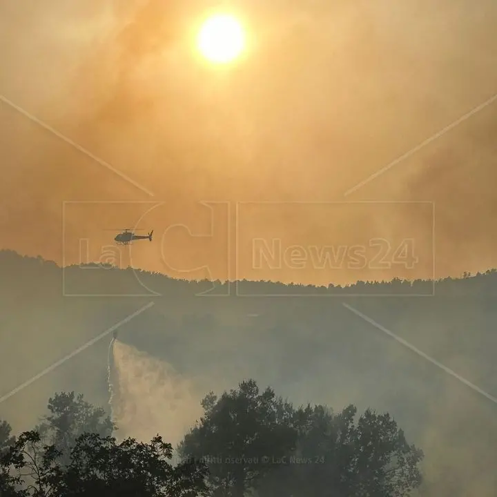 Incendi Calabria, regione avvolta dalle fiamme: da Cosenza a Reggio ora è emergenza