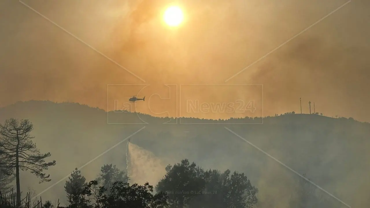 Incendi Calabria, regione avvolta dalle fiamme: da Cosenza a Reggio ora è emergenza