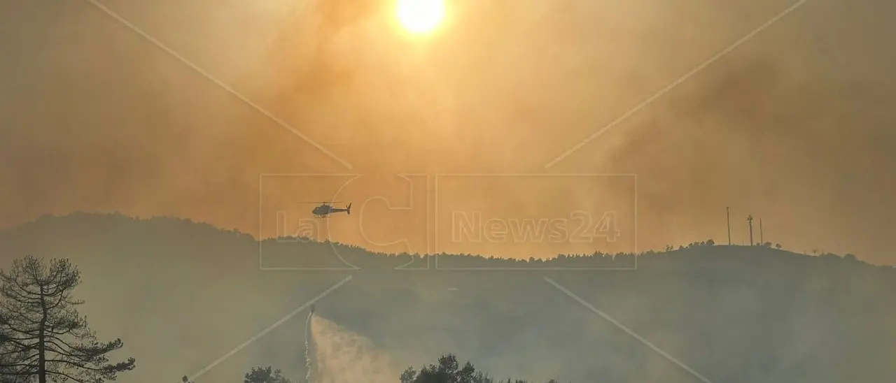Incendi Calabria, regione avvolta dalle fiamme: da Cosenza a Reggio ora è emergenza