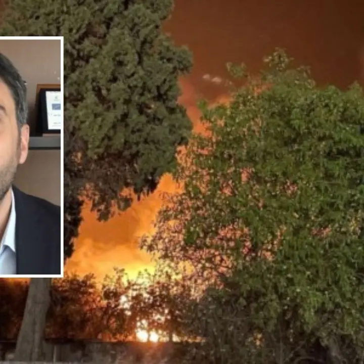 Incendi in Calabria, Irto interroga il Governo: «Risarcire i danni e avviare un piano straordinario di rimboschimento»