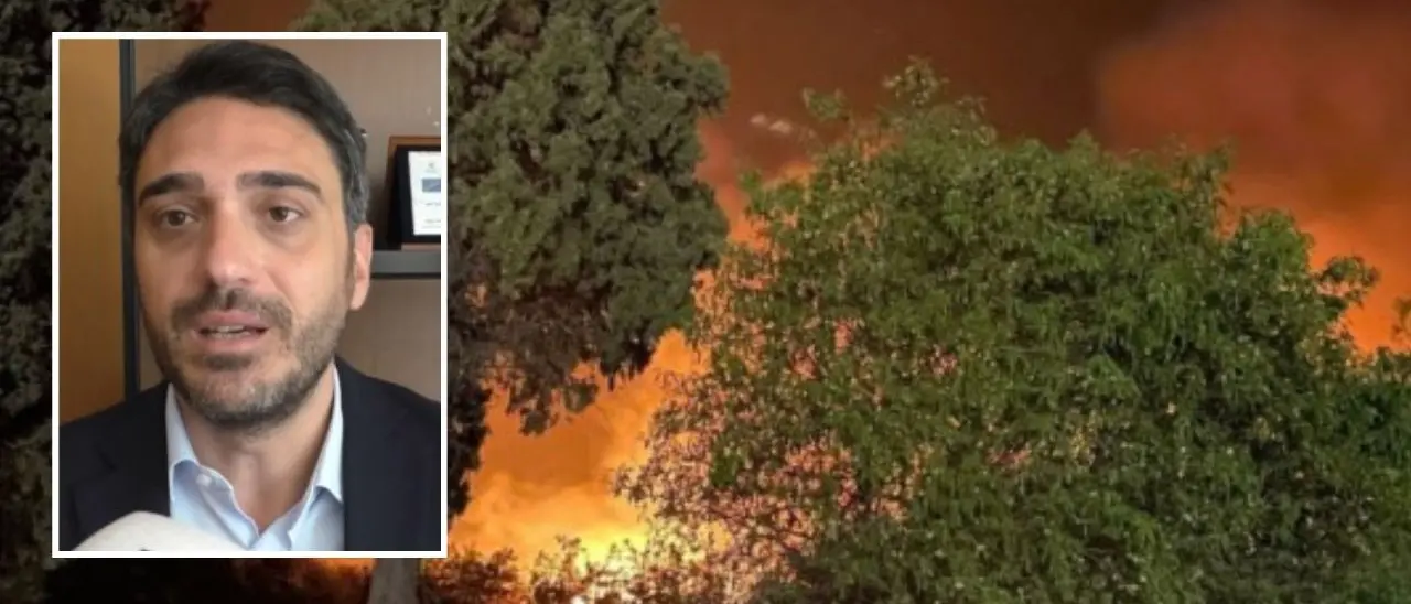 Incendi in Calabria, Irto interroga il Governo: «Risarcire i danni e avviare un piano straordinario di rimboschimento»
