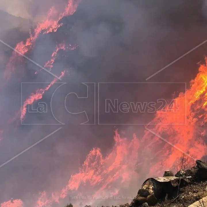 Reggio aggiorna l’elenco dei soprassuoli percorsi dal fuoco: via libera della Giunta al censimento 2019-2024\n