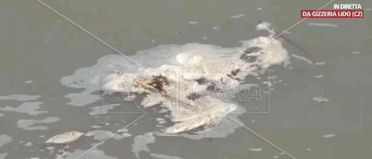 Mare, dati contrastanti sulla balneabilità: Alecci chiede chiarezza. E Legambiente: «Si intervenga sulle fonti di inquinamento»