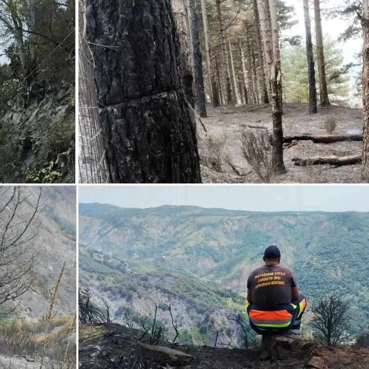 Cardeto, dopo la paura resta solo l’odore di bruciato. E la gente denuncia: «Ce la siamo vista brutta, la montagna è abbandonata»