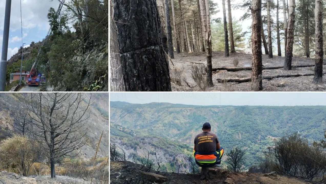 Cardeto, dopo la paura resta solo l’odore di bruciato. E la gente denuncia: «Ce la siamo vista brutta, la montagna è abbandonata»