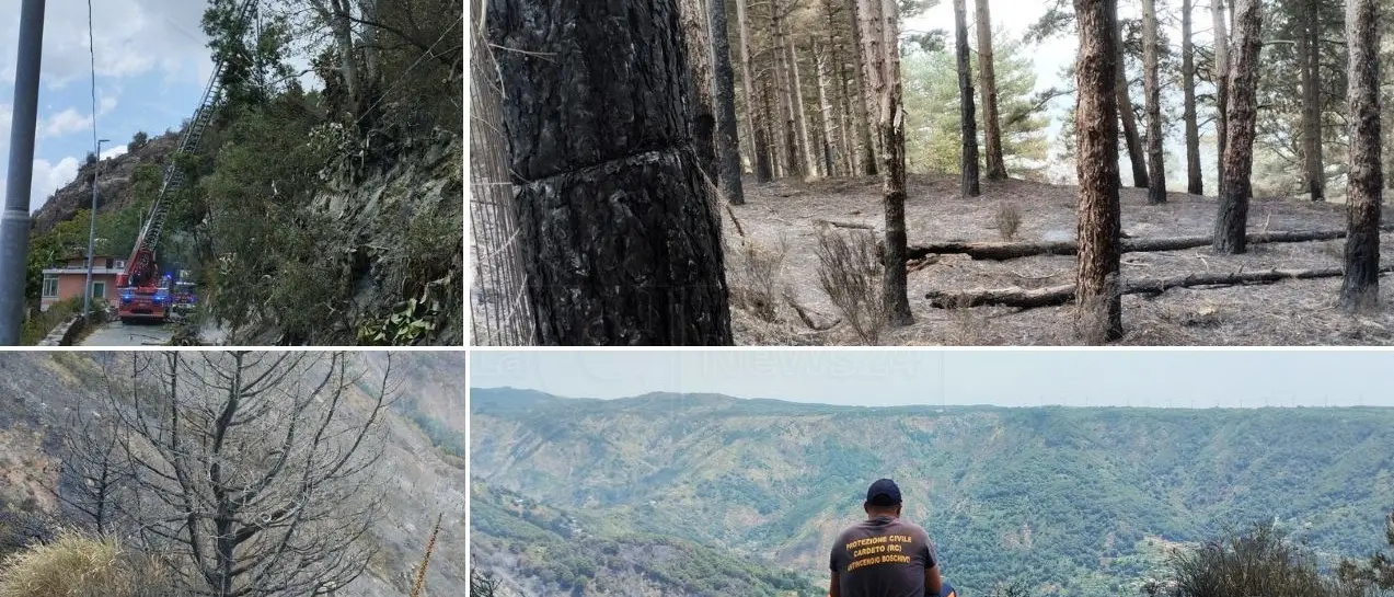 Cardeto, dopo la paura resta solo l’odore di bruciato. E la gente denuncia: «Ce la siamo vista brutta, la montagna è abbandonata»