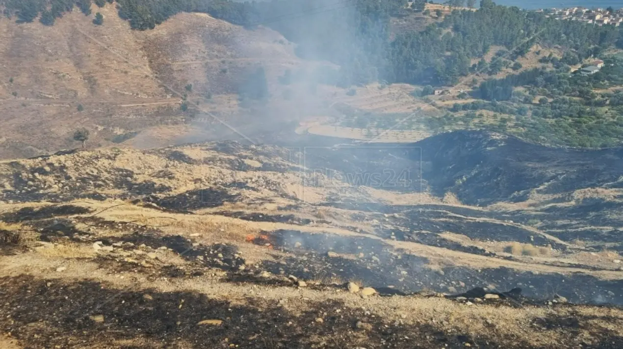 Incendi, nel 2022 il primato è andato alla Calabria. Legambiente: «Serve più incisività nella prevenzione»