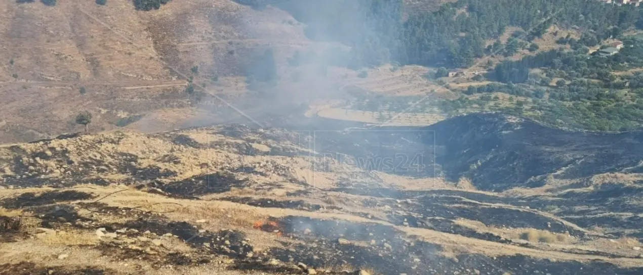 Incendi, nel 2022 il primato è andato alla Calabria. Legambiente: «Serve più incisività nella prevenzione»