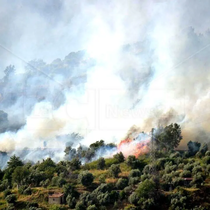 Anche la Calabria devastata dagli incendi, Coldiretti: «Almeno 15 anni per ripristinare le zone verdi distrutte»