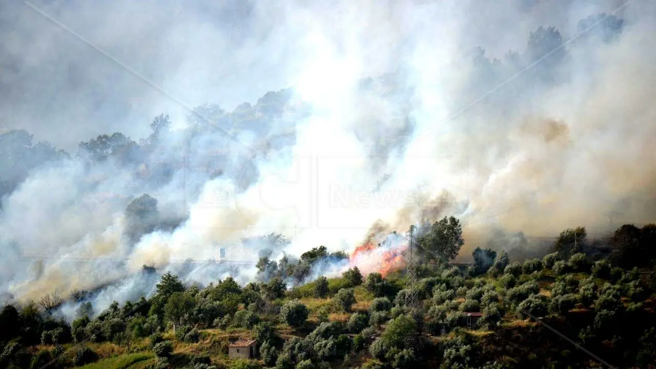 Anche la Calabria devastata dagli incendi, Coldiretti: «Almeno 15 anni per ripristinare le zone verdi distrutte»