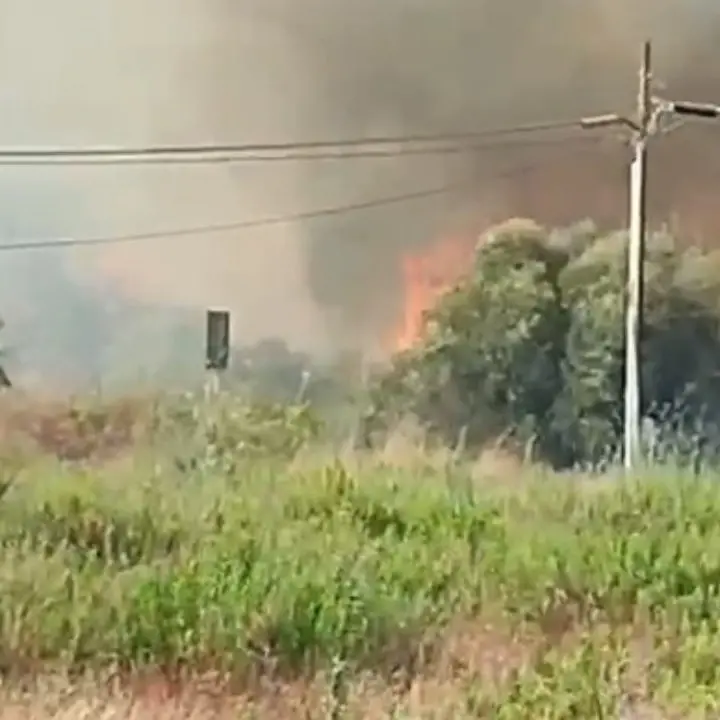 Vasto incendio sul litorale di Ugento, nel Salento: bagnanti in fuga dai lidi, evacuata una struttura ricettiva