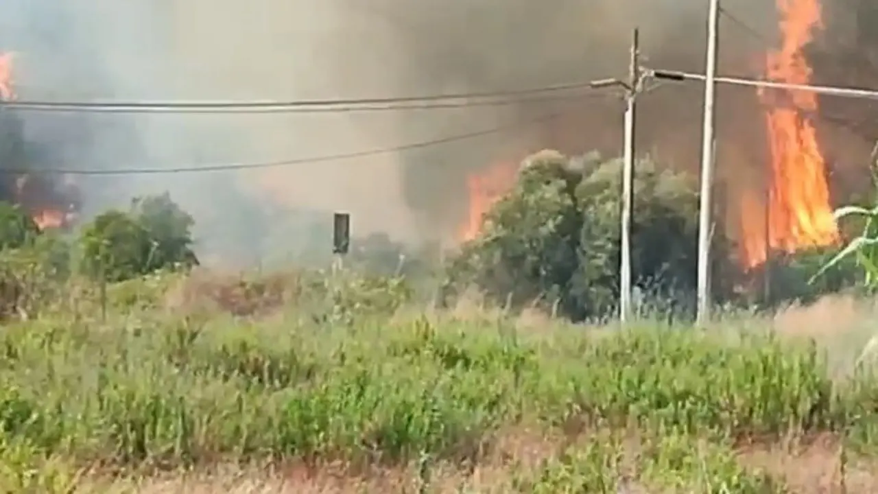 Vasto incendio sul litorale di Ugento, nel Salento: bagnanti in fuga dai lidi, evacuata una struttura ricettiva