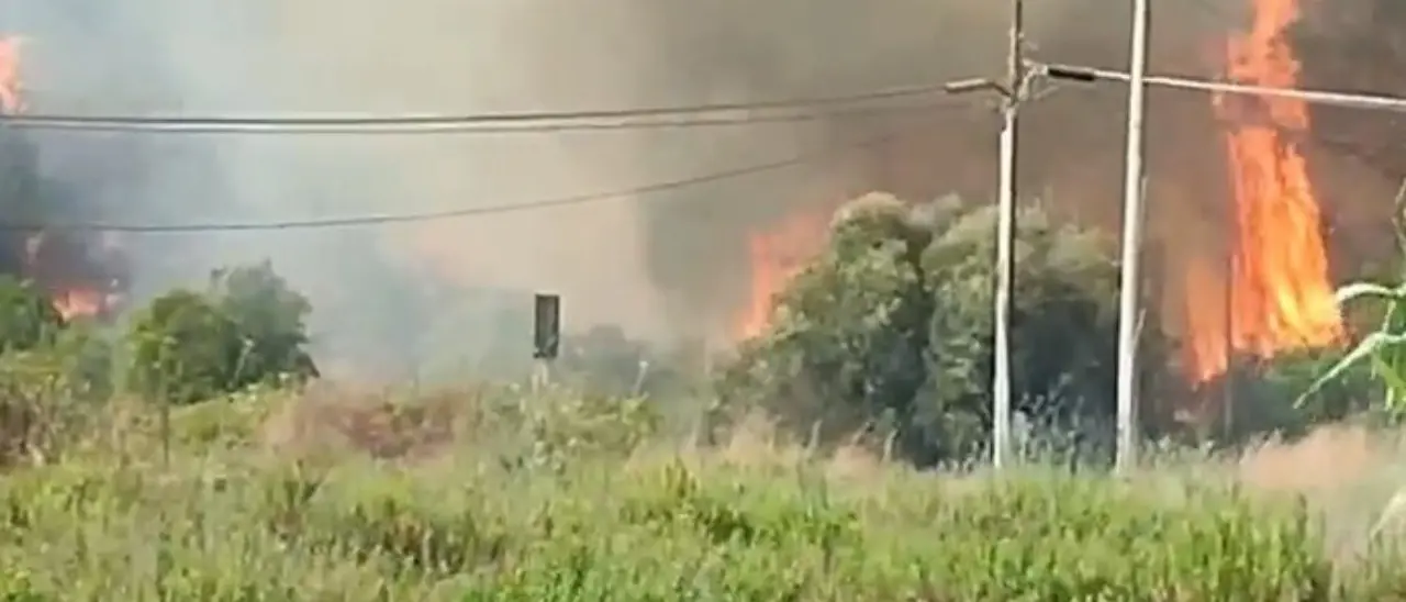 Vasto incendio sul litorale di Ugento, nel Salento: bagnanti in fuga dai lidi, evacuata una struttura ricettiva