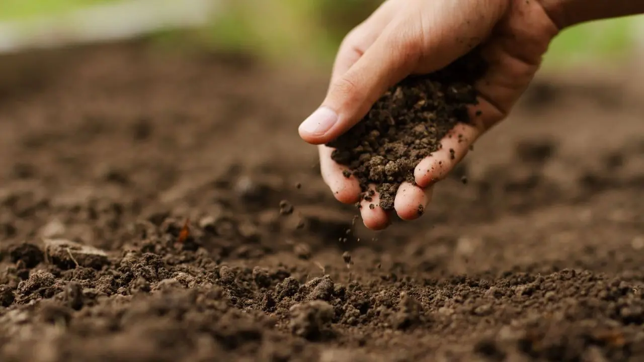 Agricoltura sostenibile e lotta alla povertà, dalla Regione in campo 4 milioni e 872mila euro