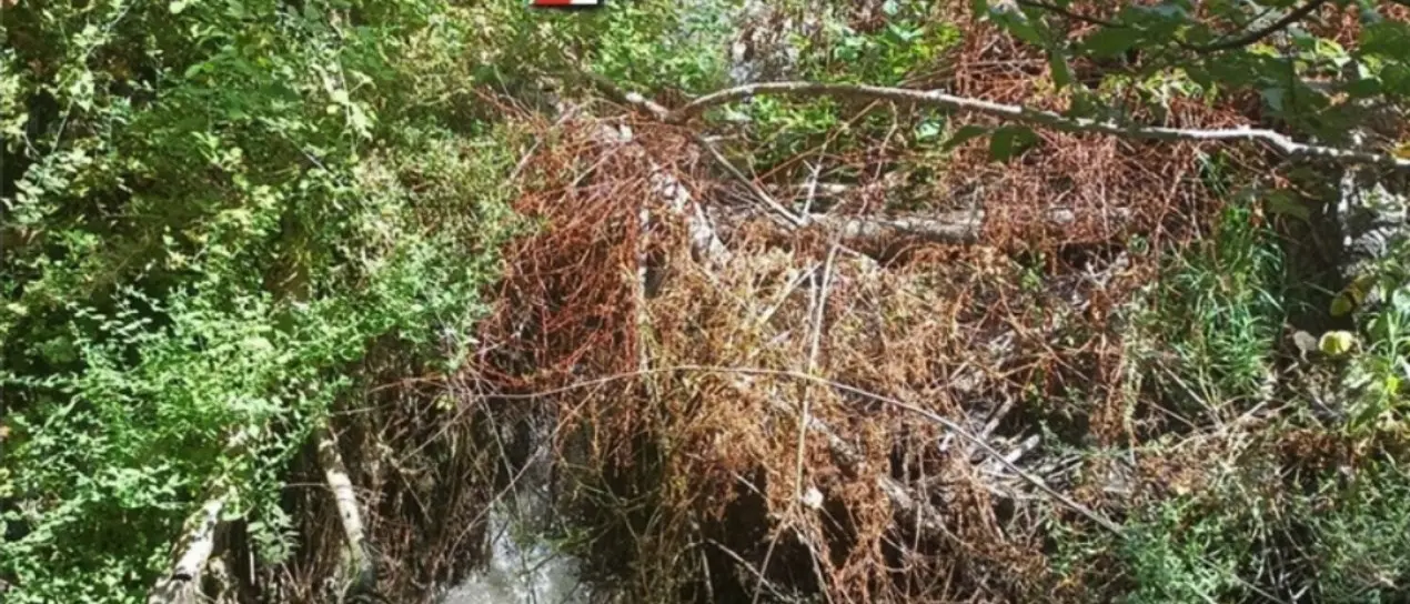 Reflui fognari nel fiume, a Catanzaro scatta il sequestro di un pozzetto abusivo